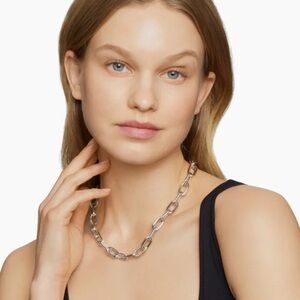 David Yurman Silver Link Necklace